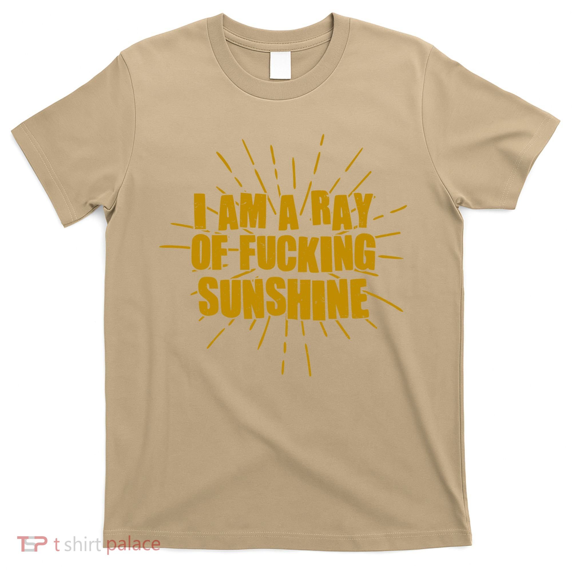 Funny I Am A Ray Of Fucking Sunshine T-Shirt