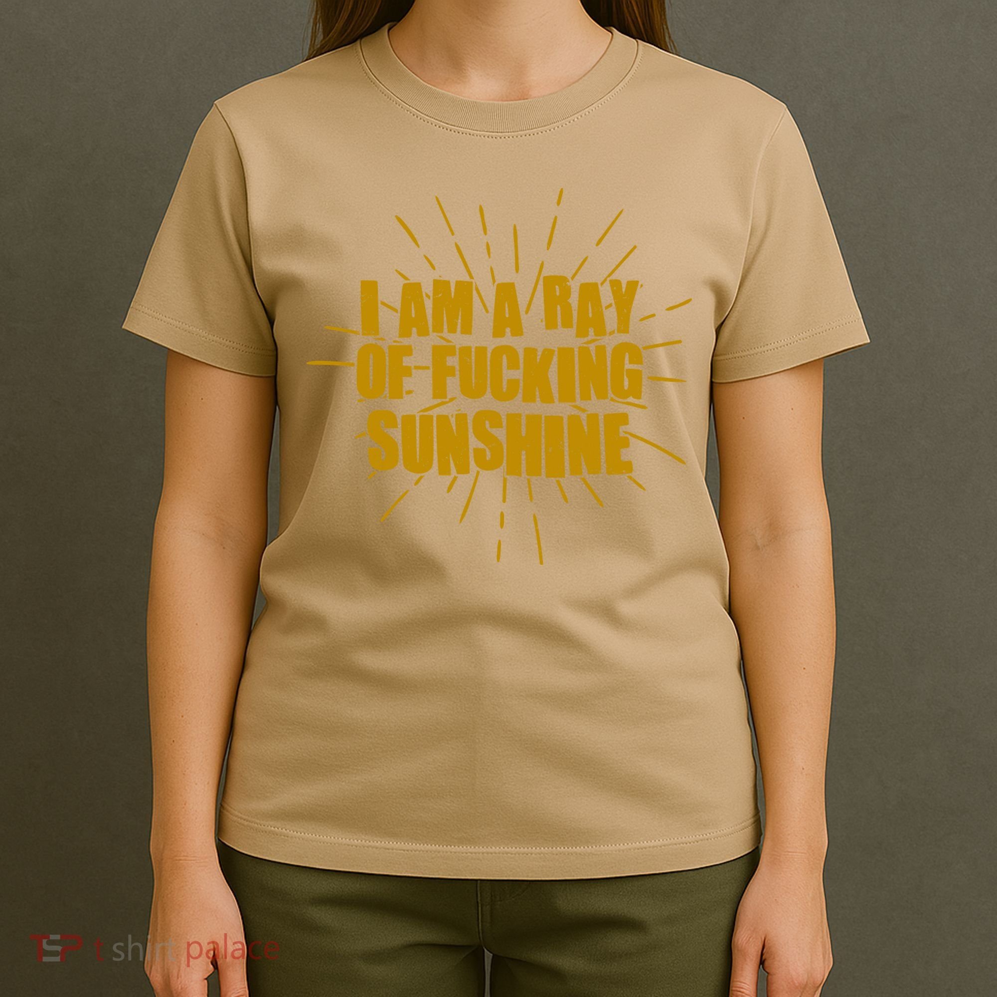 Funny I Am A Ray Of Fucking Sunshine T-Shirt