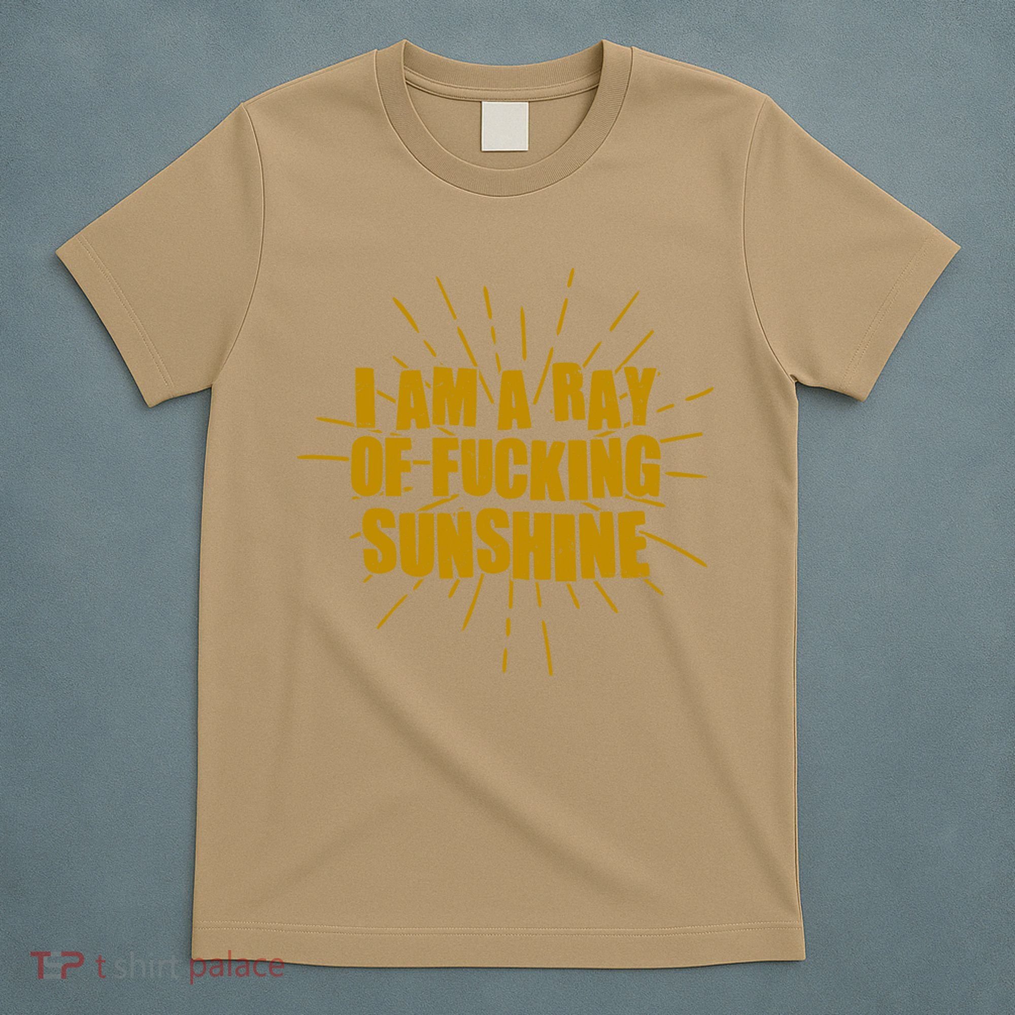 Funny I Am A Ray Of Fucking Sunshine T-Shirt