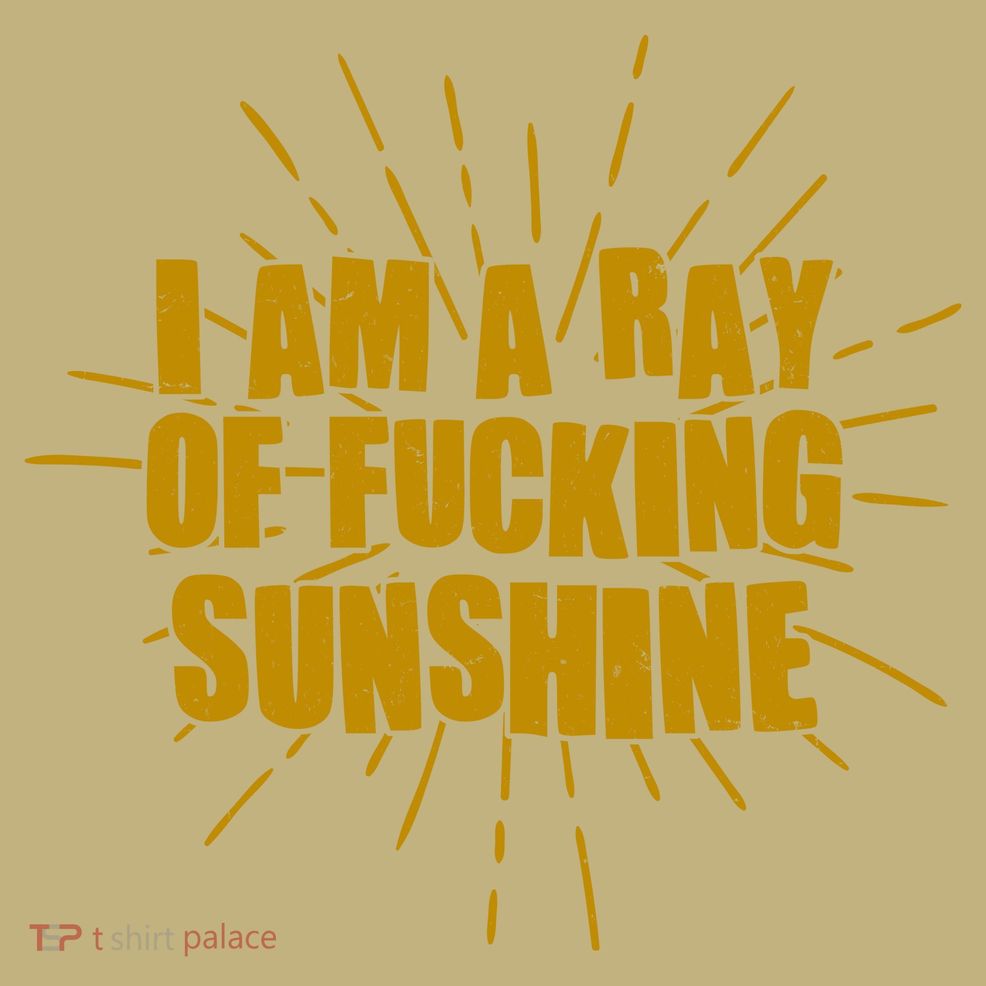 Funny I Am A Ray Of Fucking Sunshine T-Shirt