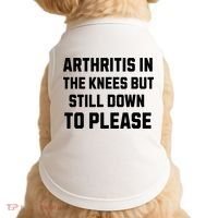 Funny Inappropriate Adult Humor Arthritis Still Down Please Doggie Tank thumb 0