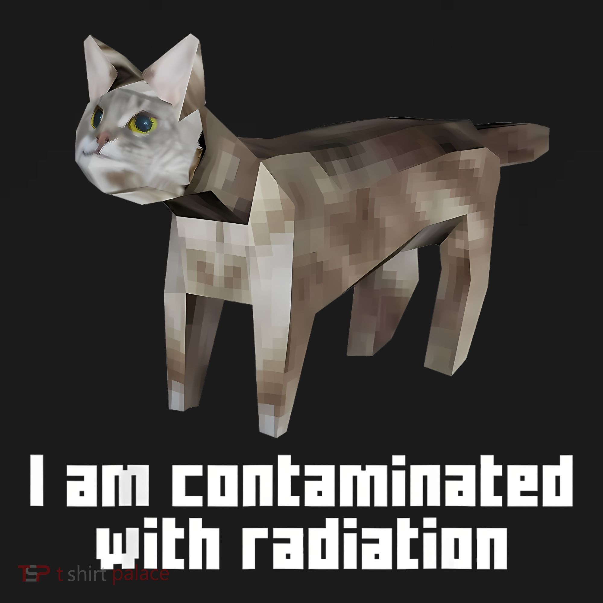Funny I Am Contaminated With Radiation Ironic Cat Meme Ornament