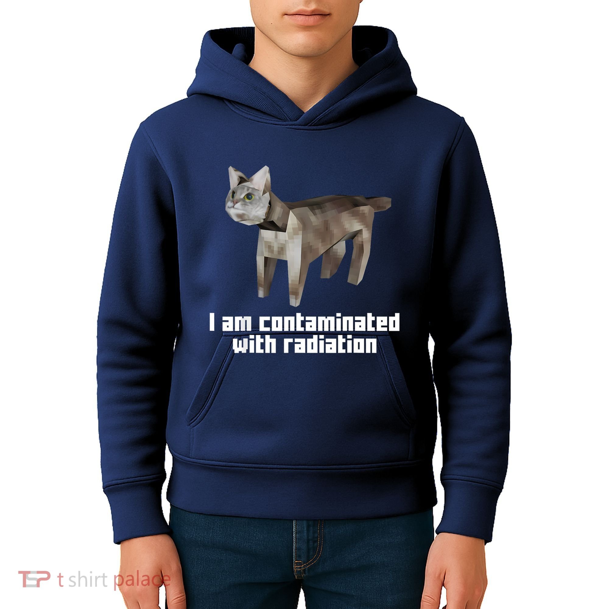 Funny I Am Contaminated With Radiation Ironic Cat Meme Kids Hoodie