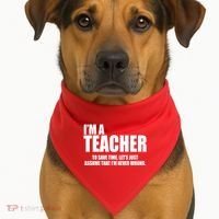 Funny Im A Teacher To Save Time Lets Just Assume That Im Never Wrong USA-Made Doggie Bandana thumb 1