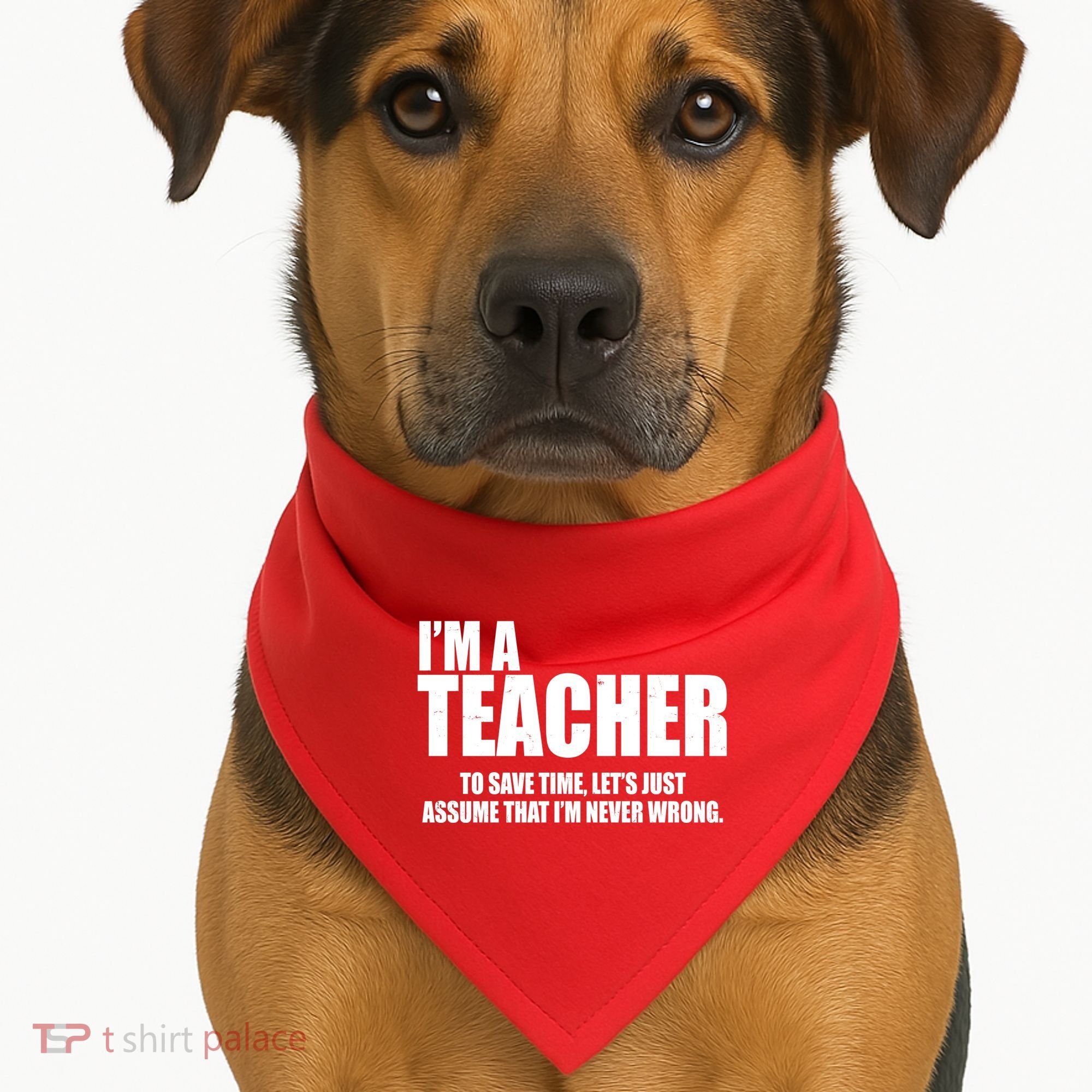 Funny Im A Teacher To Save Time Lets Just Assume That Im Never Wrong USA-Made Doggie Bandana