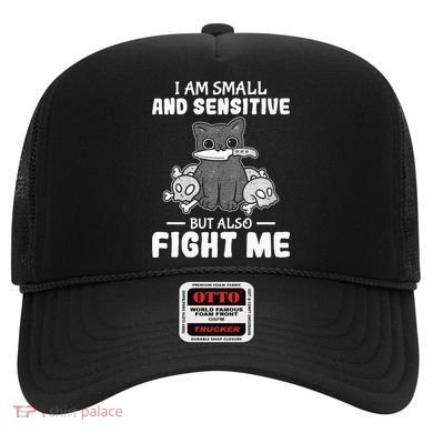 Funny I am small and sensitive but also fight me cat Hat