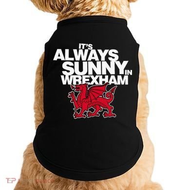 Funny ItS Always Sunny In Wrexham Wales Dragon Doggie Tank