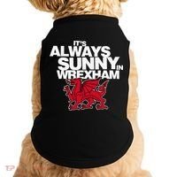 Funny ItS Always Sunny In Wrexham Wales Dragon Doggie Tank thumb 0