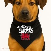 Funny ItS Always Sunny In Wrexham Wales Dragon USA-Made Doggie Bandana thumb 1