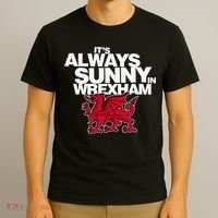 Funny ItS Always Sunny In Wrexham Wales Dragon T-Shirt thumb 3