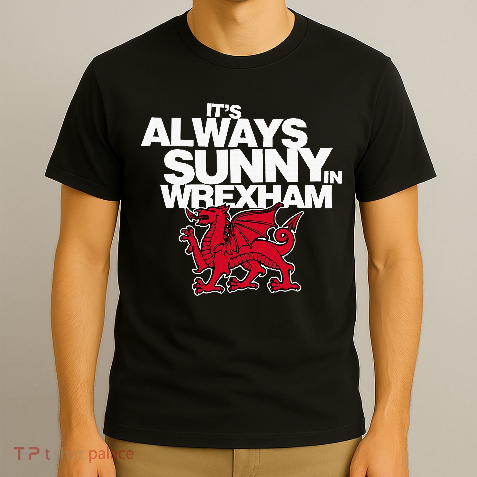 Funny ItS Always Sunny In Wrexham Wales Dragon T-Shirt