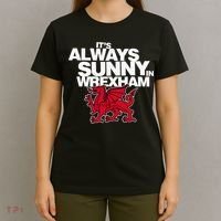 Funny ItS Always Sunny In Wrexham Wales Dragon T-Shirt thumb 4