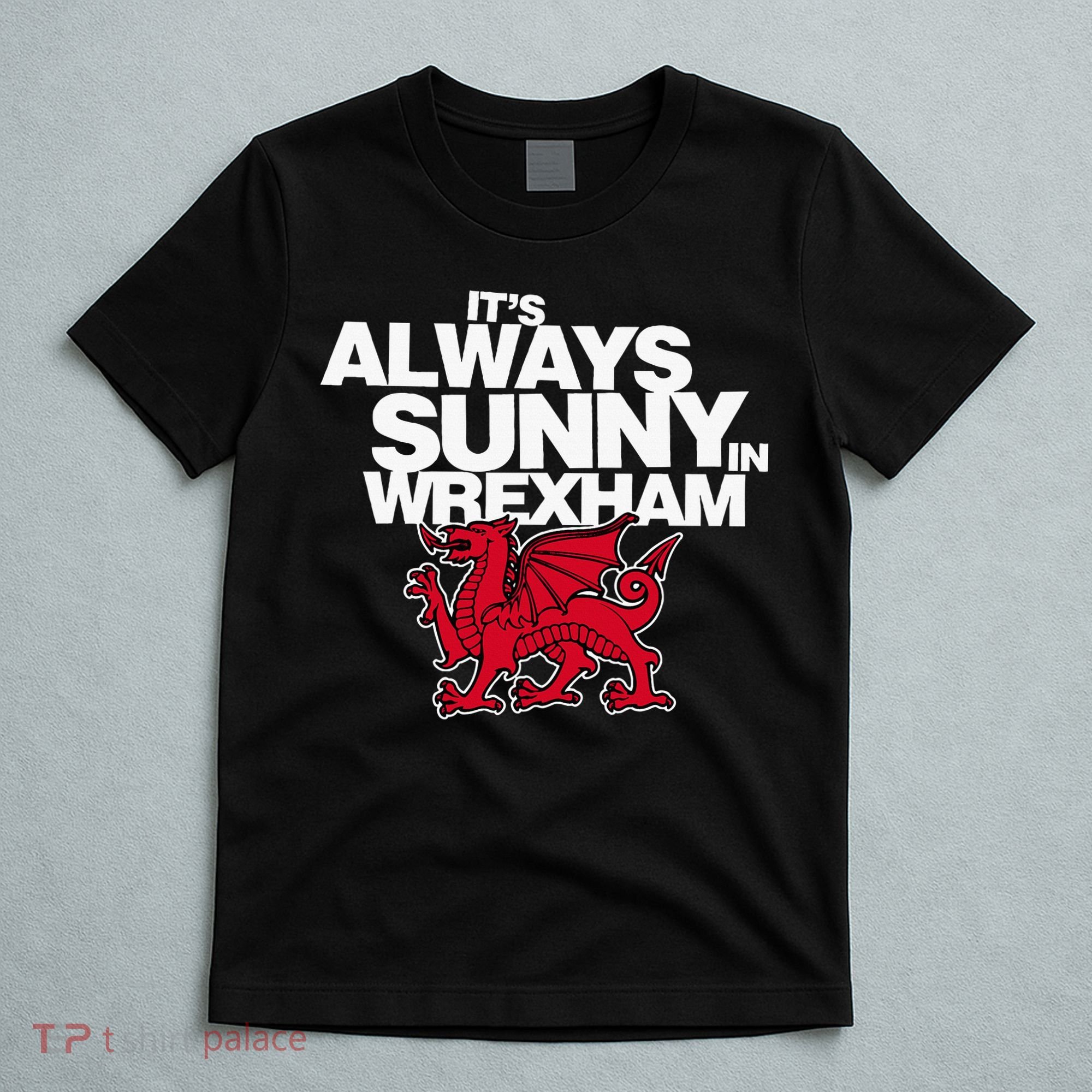 Funny ItS Always Sunny In Wrexham Wales Dragon T-Shirt
