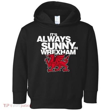 Funny ItS Always Sunny In Wrexham Wales Dragon Toddler Hoodie