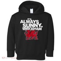 Funny ItS Always Sunny In Wrexham Wales Dragon Toddler Hoodie thumb 0