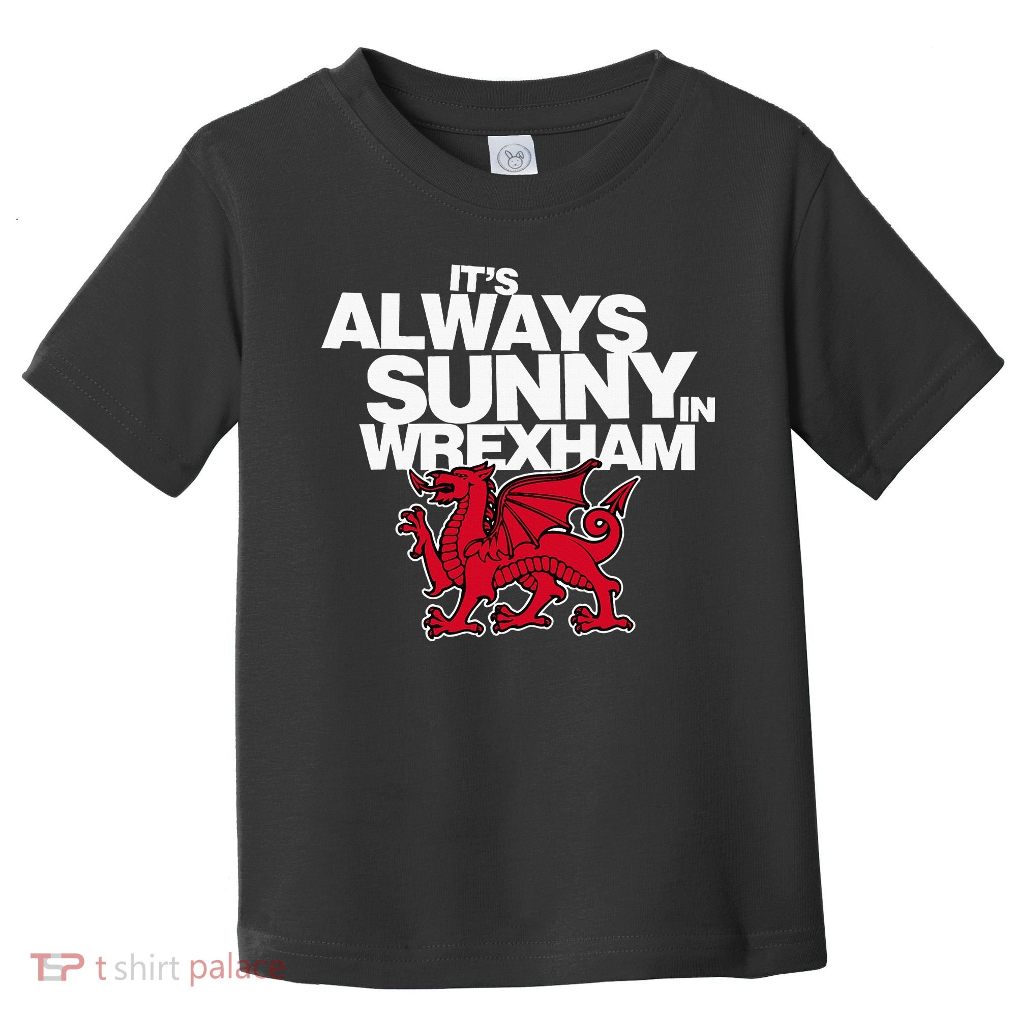 Funny ItS Always Sunny In Wrexham Wales Dragon Toddler T-Shirt