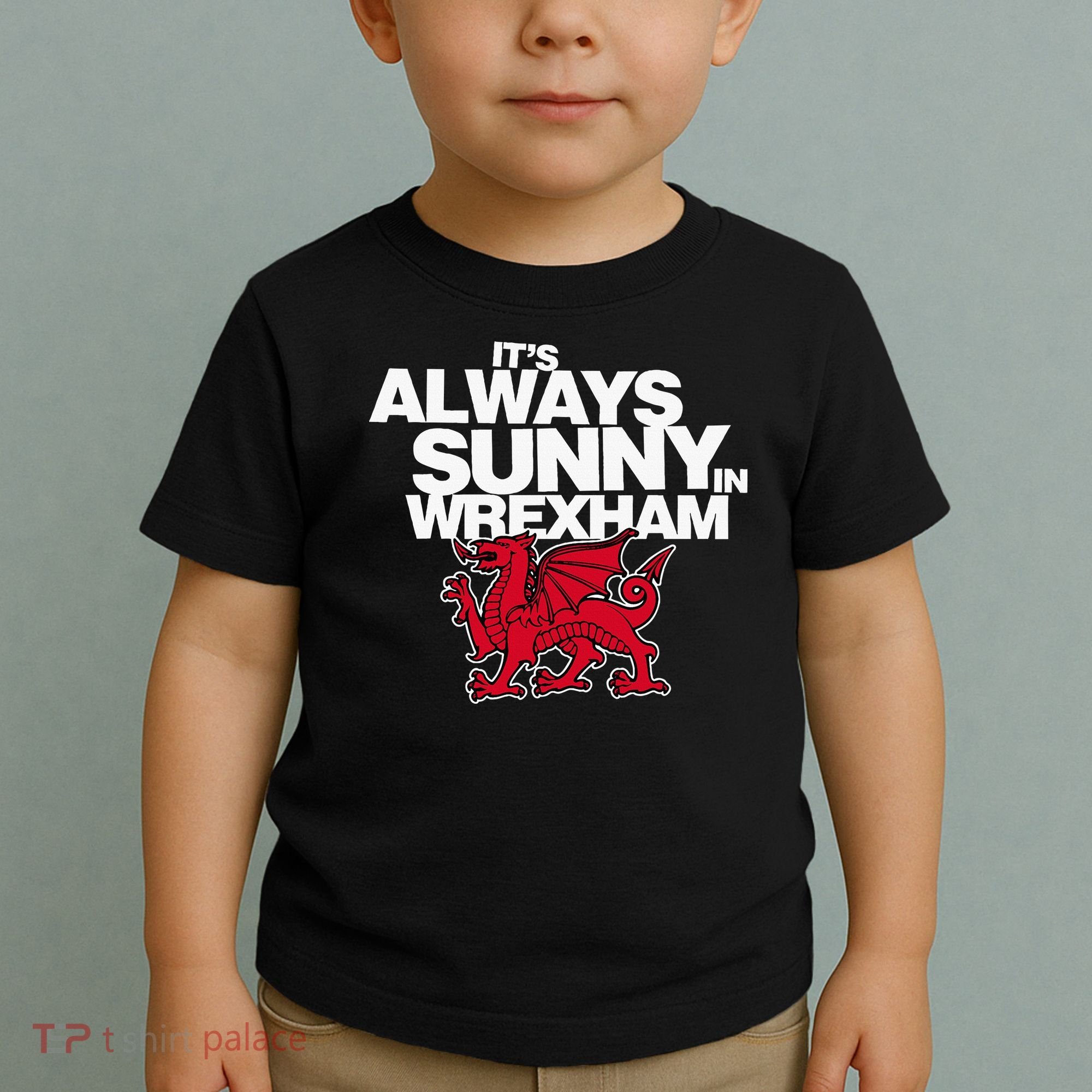 Funny ItS Always Sunny In Wrexham Wales Dragon Toddler T-Shirt