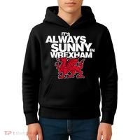 Funny ItS Always Sunny In Wrexham Wales Dragon Kids Hoodie thumb 4