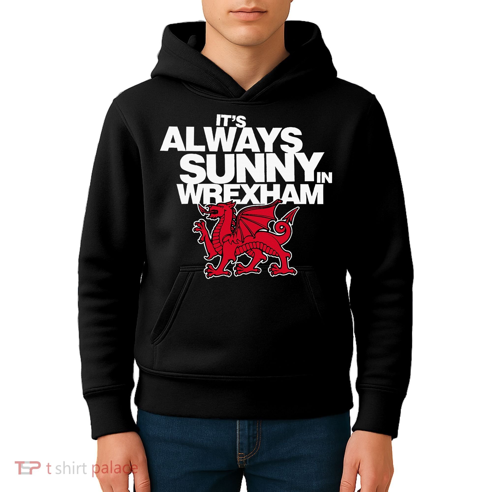 Funny ItS Always Sunny In Wrexham Wales Dragon Kids Hoodie
