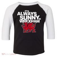 Funny ItS Always Sunny In Wrexham Wales Dragon Toddler Fine Jersey T-Shirt thumb 0