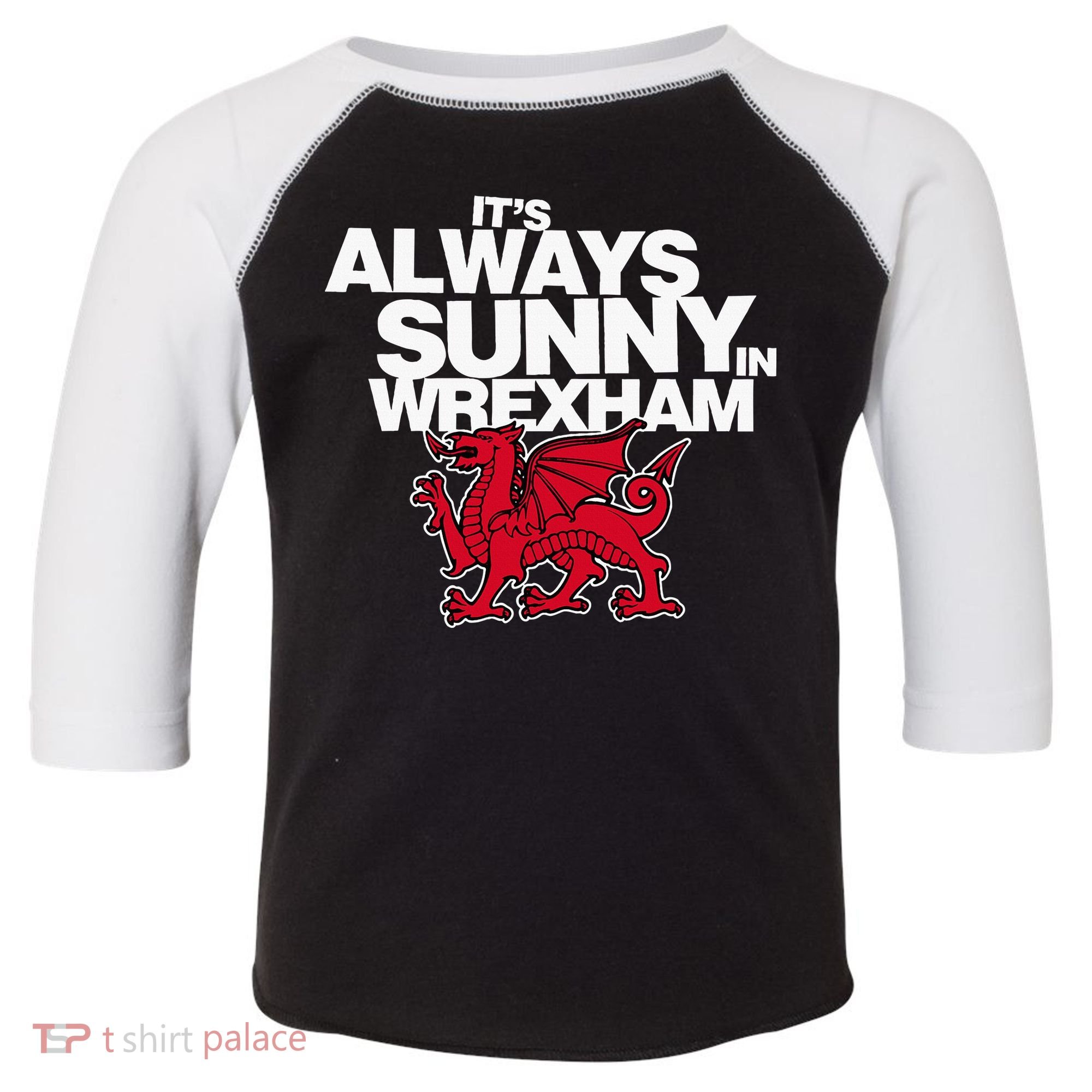 Funny ItS Always Sunny In Wrexham Wales Dragon Toddler Fine Jersey T-Shirt