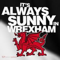 Funny ItS Always Sunny In Wrexham Wales Dragon Toddler Fine Jersey T-Shirt thumb 2