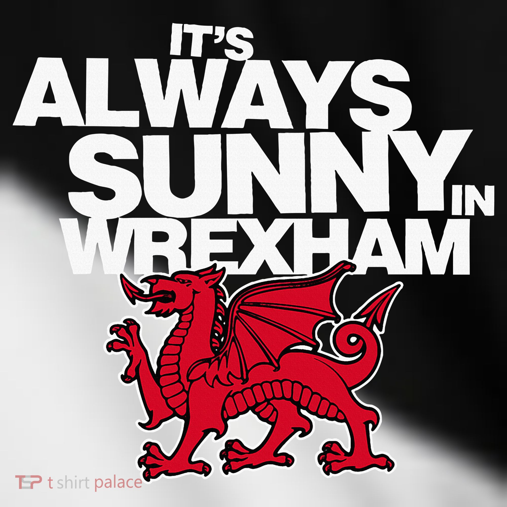 Funny ItS Always Sunny In Wrexham Wales Dragon Toddler Fine Jersey T-Shirt