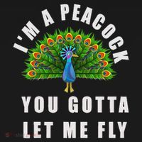Funny I'm A Peacock You Gotta Let Me Fly Women's T-Shirt thumb 6