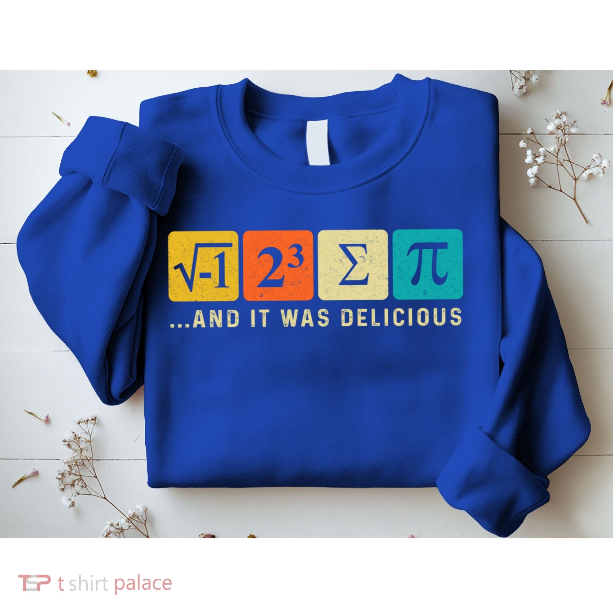 Funny I Ate Some Pie Pi Day Math Nerd Geek Sum Pi 3 14 Gift Sweatshirt