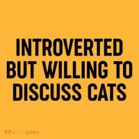 Funny Introverted But Willing To Discuss Cats Sweatshirt thumb 2