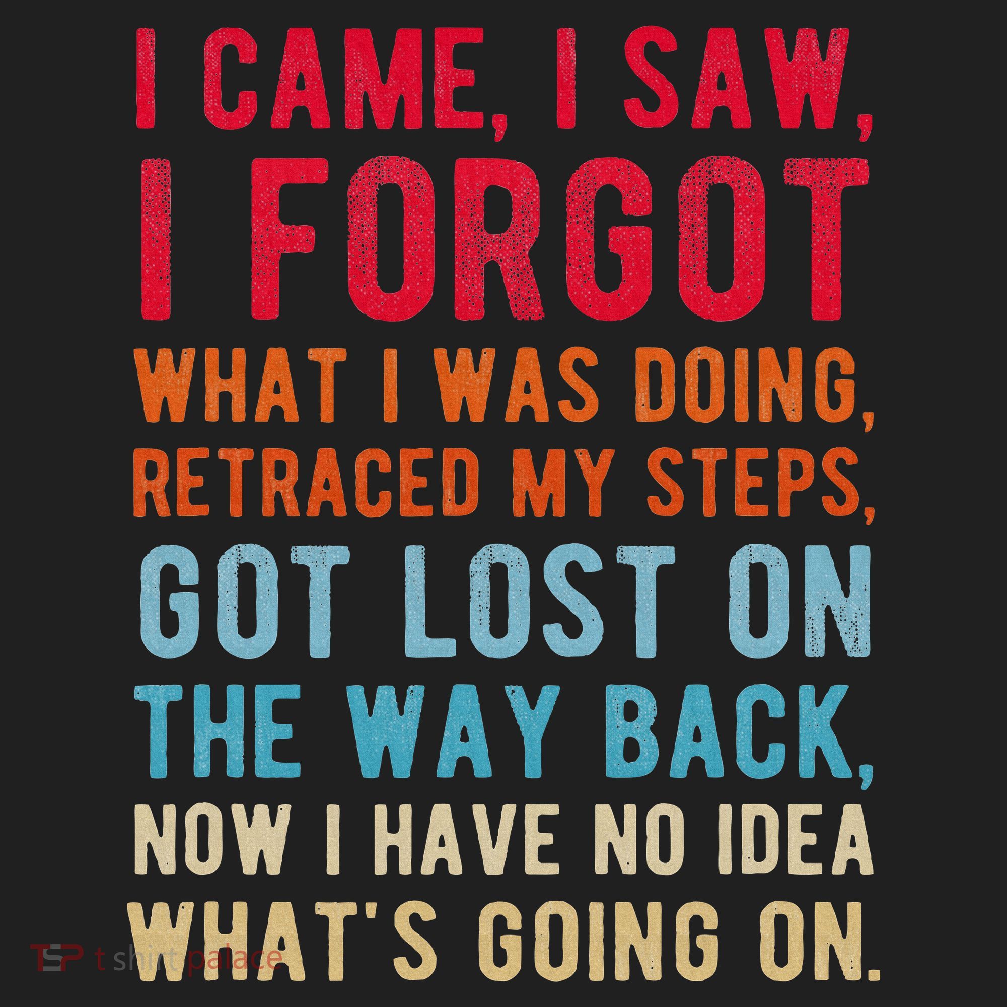 Funny I Came I Saw I Forgot What I Was Doing Got Lost Beanie