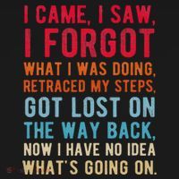 Funny I Came I Saw I Forgot What I Was Doing Got Lost Women's Tank Top thumb 5