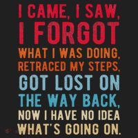Funny I Came I Saw I Forgot What I Was Doing Got Lost Hat thumb 2