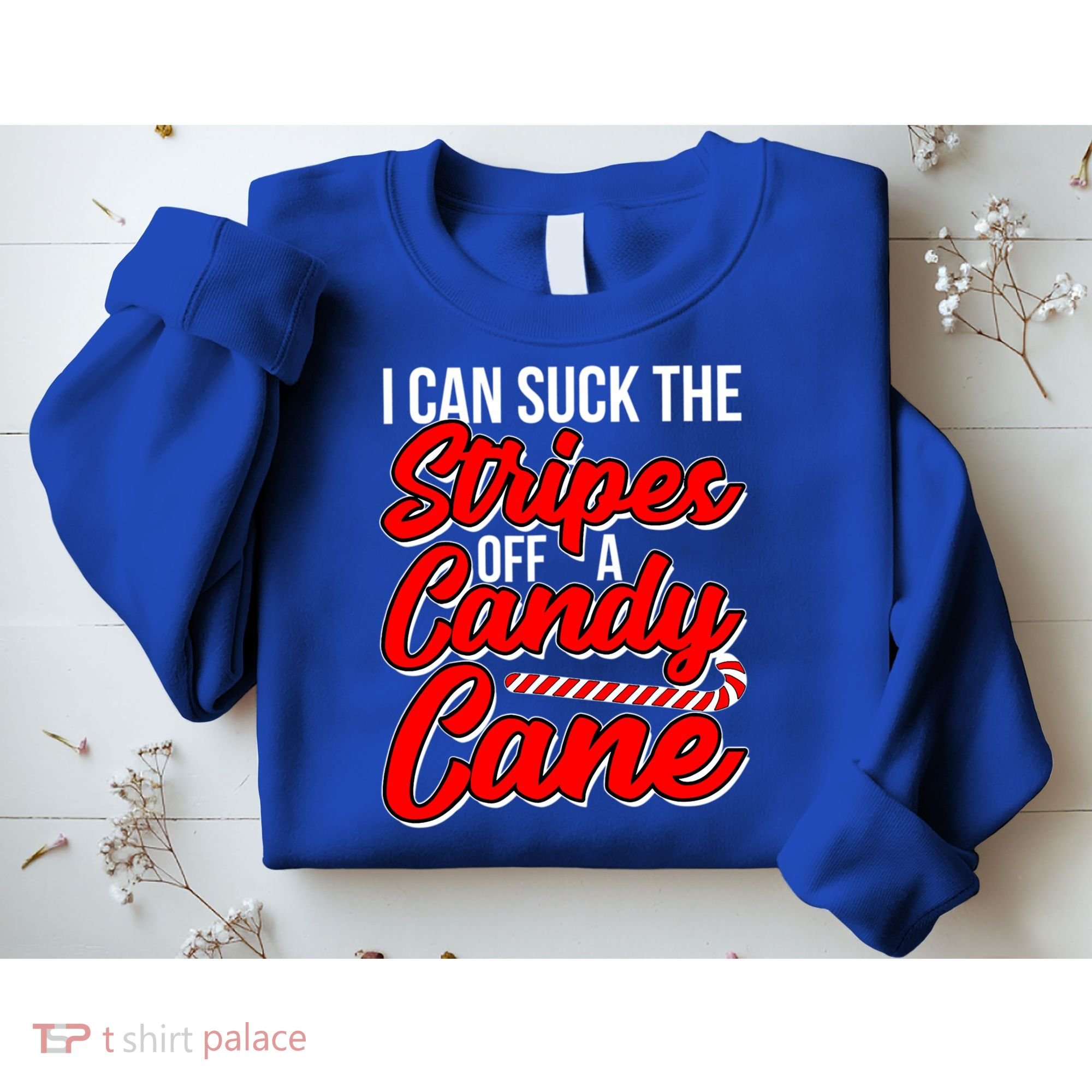 Funny I Can Suck The Stripes Off A Candy Cane Naughty Xmas Gift Sweatshirt
