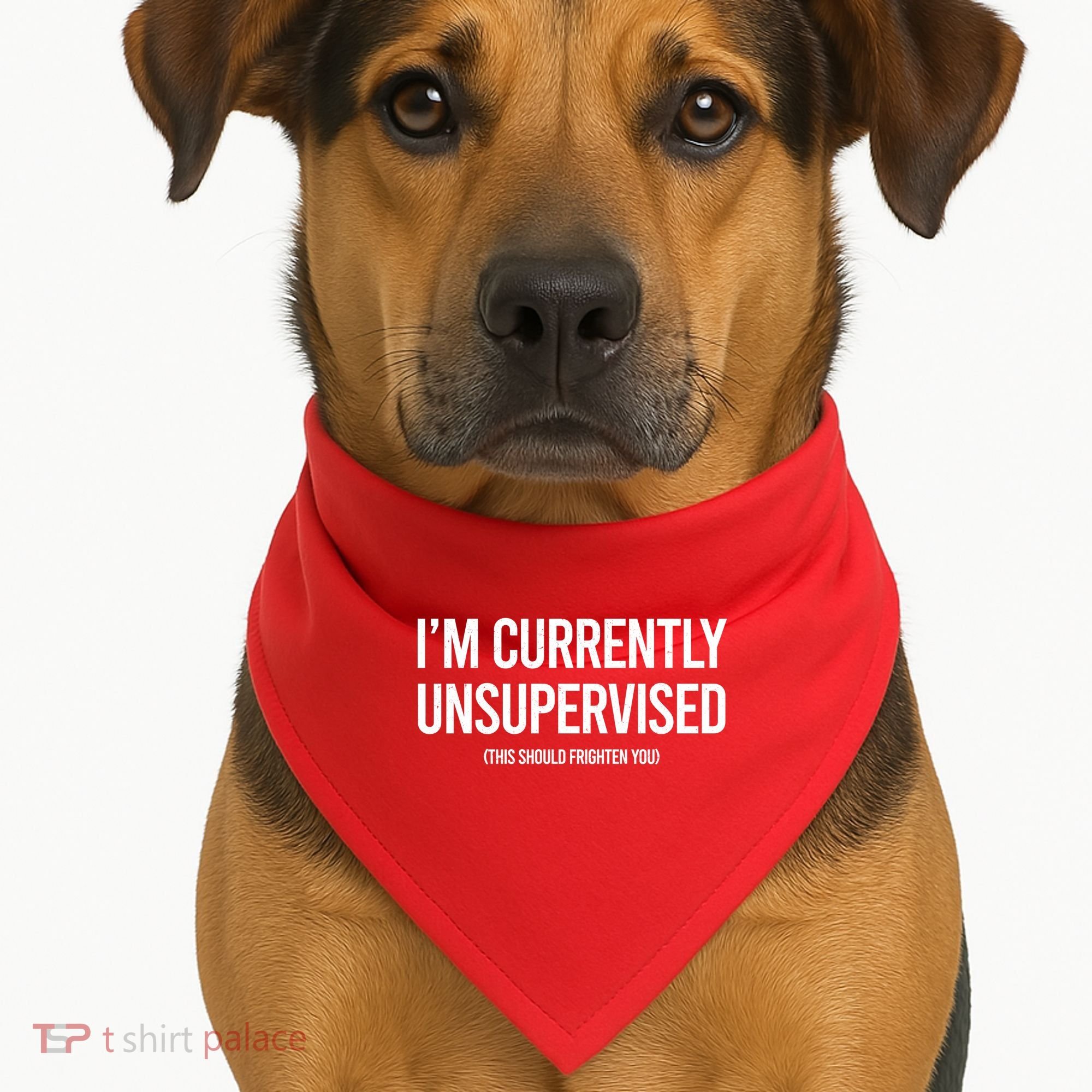 Funny Im Currently Unsupervised This Should Frighten You USA-Made Doggie Bandana