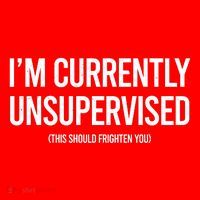 Funny Im Currently Unsupervised This Should Frighten You Hoodie thumb 7