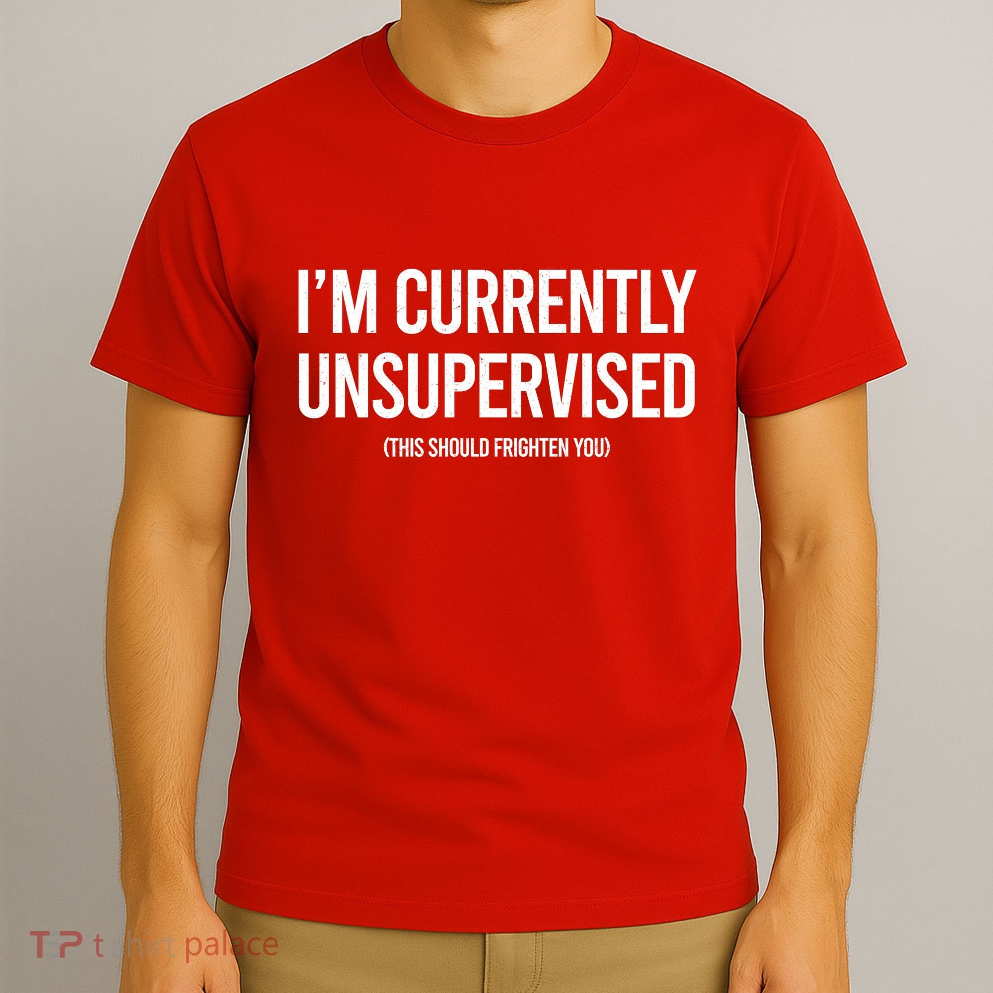 Funny Im Currently Unsupervised This Should Frighten You T-Shirt