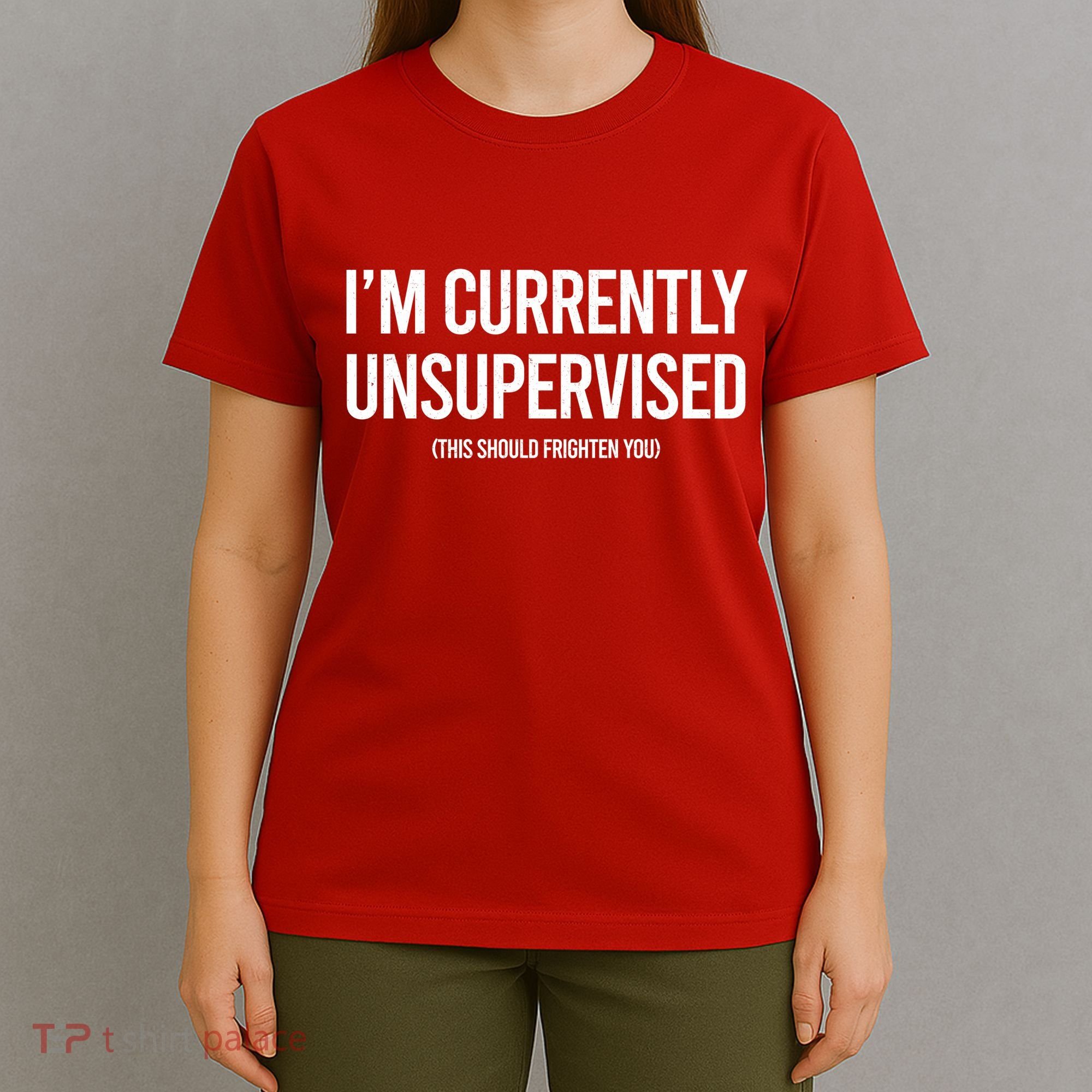 Funny Im Currently Unsupervised This Should Frighten You T-Shirt