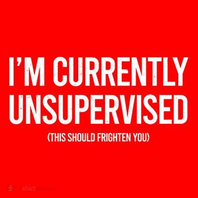 Funny Im Currently Unsupervised This Should Frighten You Drawstring Bag