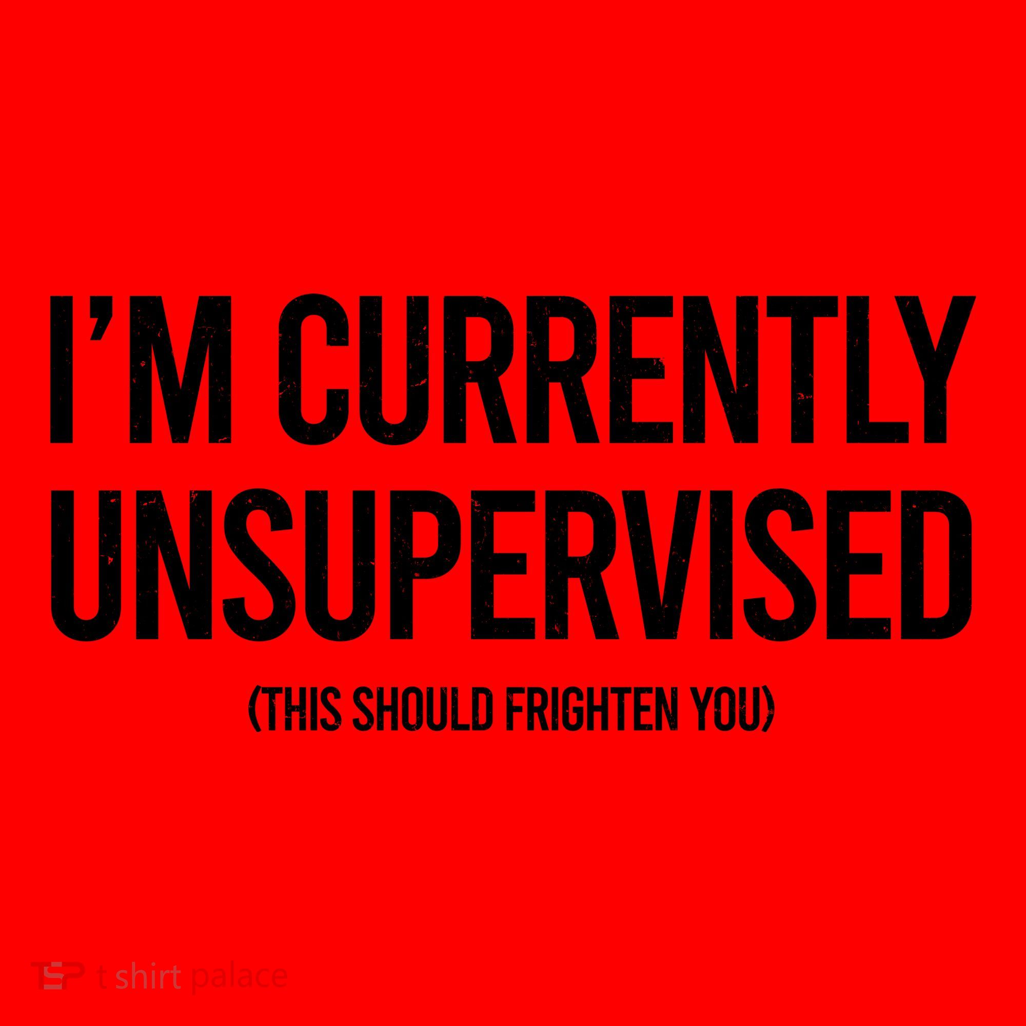 Funny Im Currently Unsupervised This Should Frighten You Santa Hat