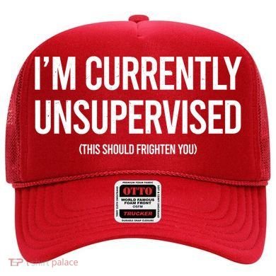 Funny Im Currently Unsupervised This Should Frighten You Hat