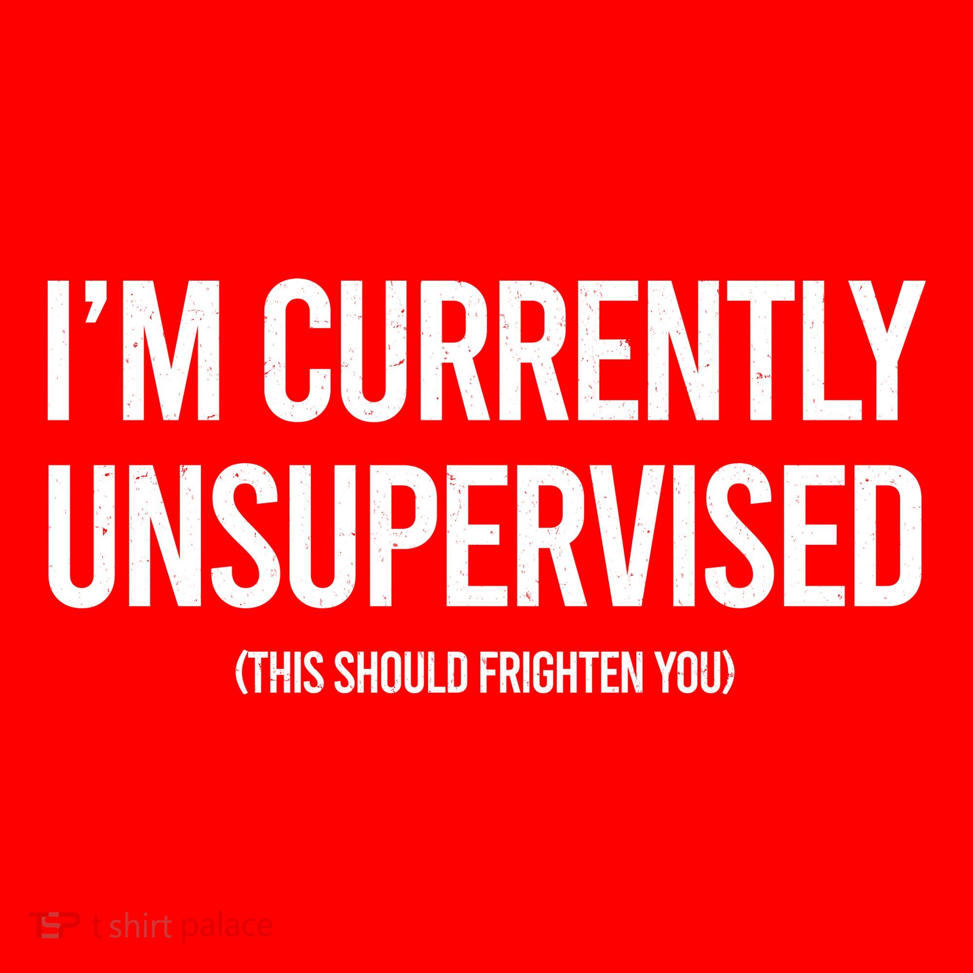 Funny Im Currently Unsupervised This Should Frighten You Women's T-Shirt