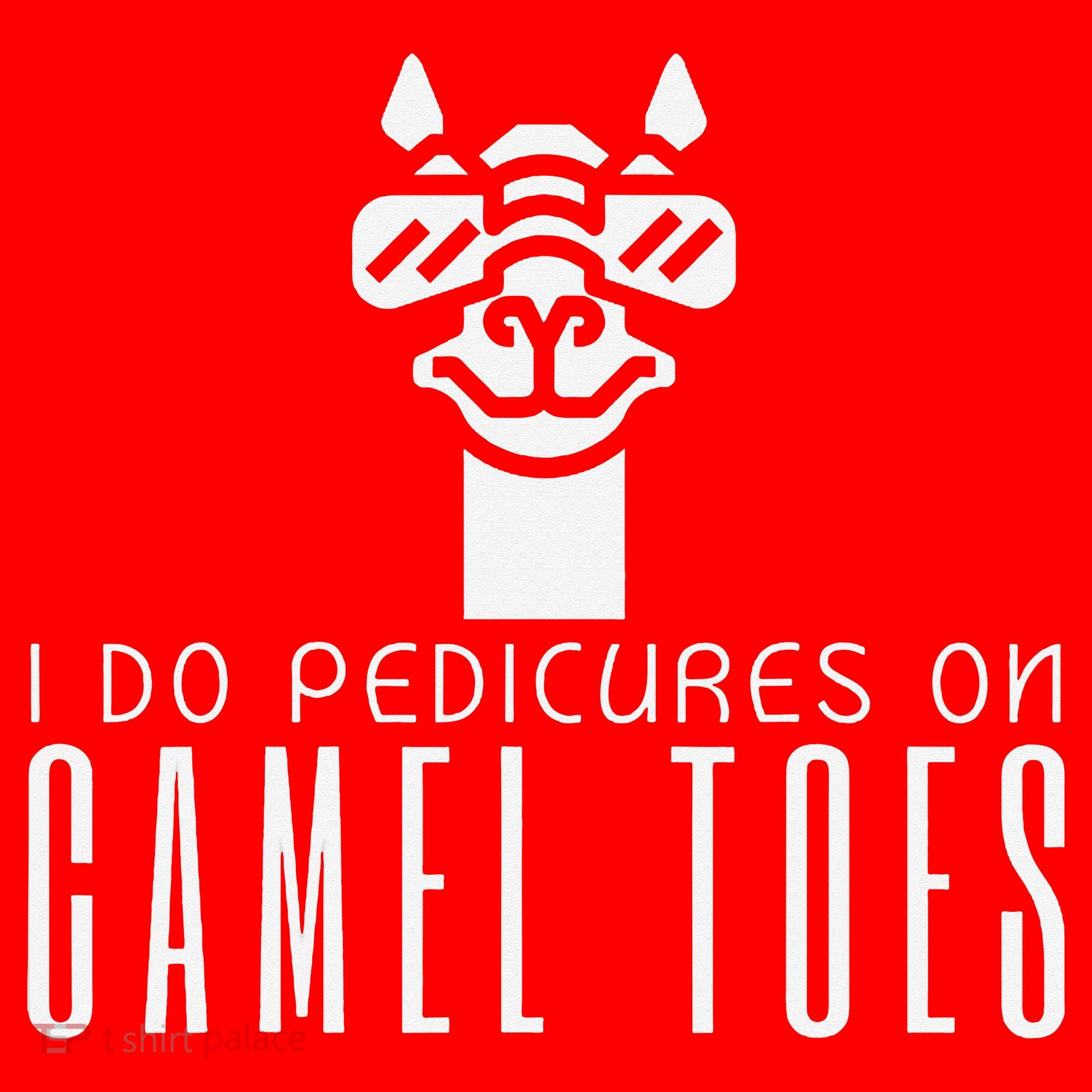 Funny I Do Pedicures On Camel Toes Quote Gift Santa Hat