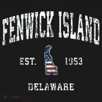 Fenwick Island Delaware De Vintage American Flag T-Shirt thumb 7