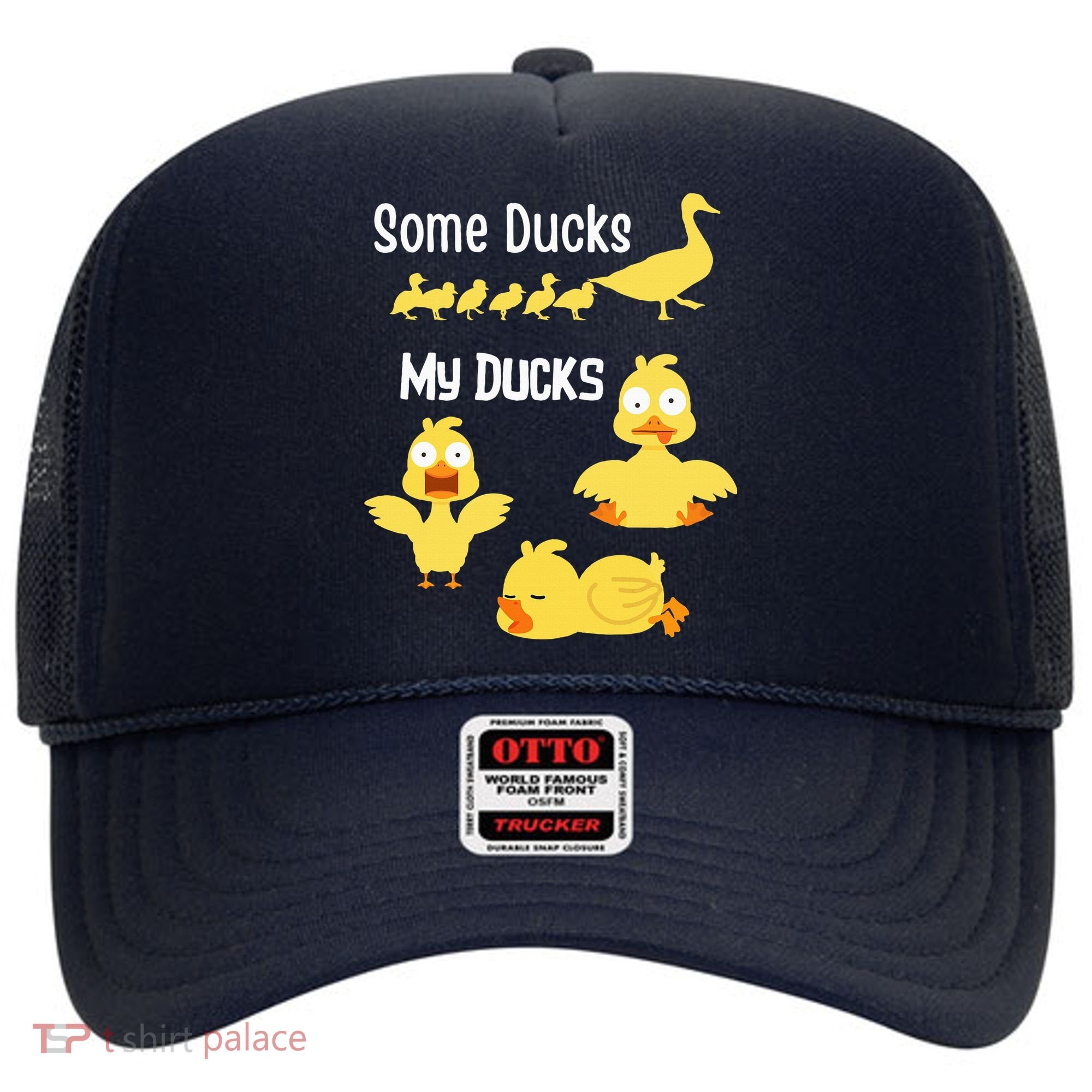 funny I don't have my ducks in a row Hat