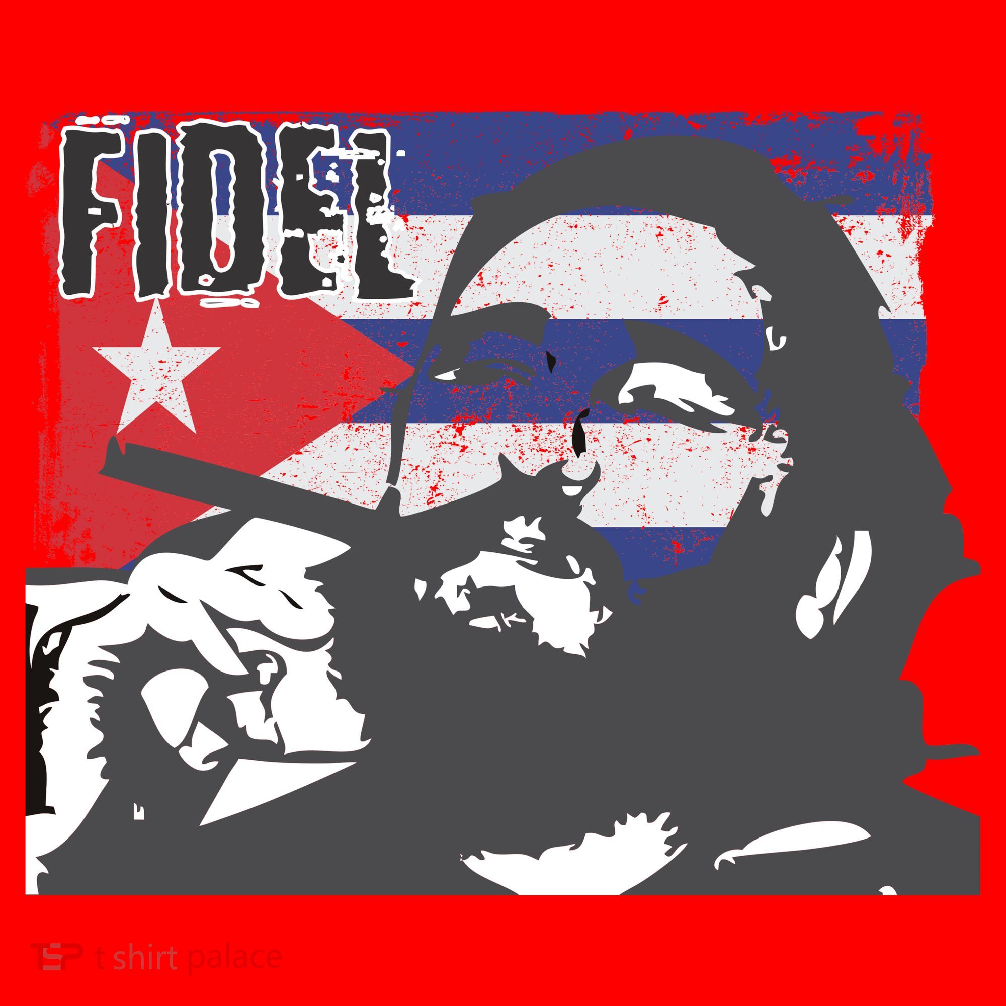 Fidel Castro Santa Hat