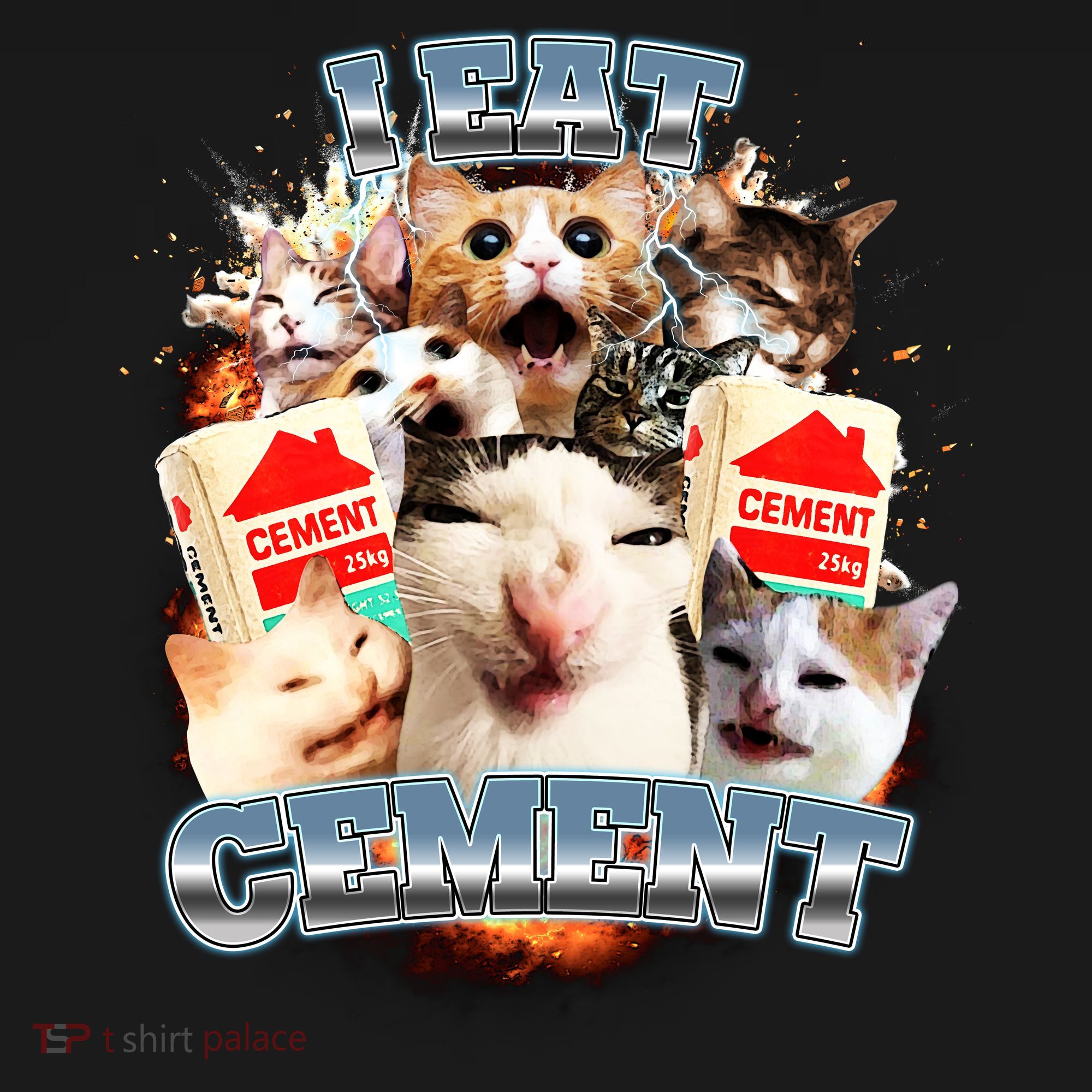 Funny I Eat Cement Cat Meme Women's T-Shirt