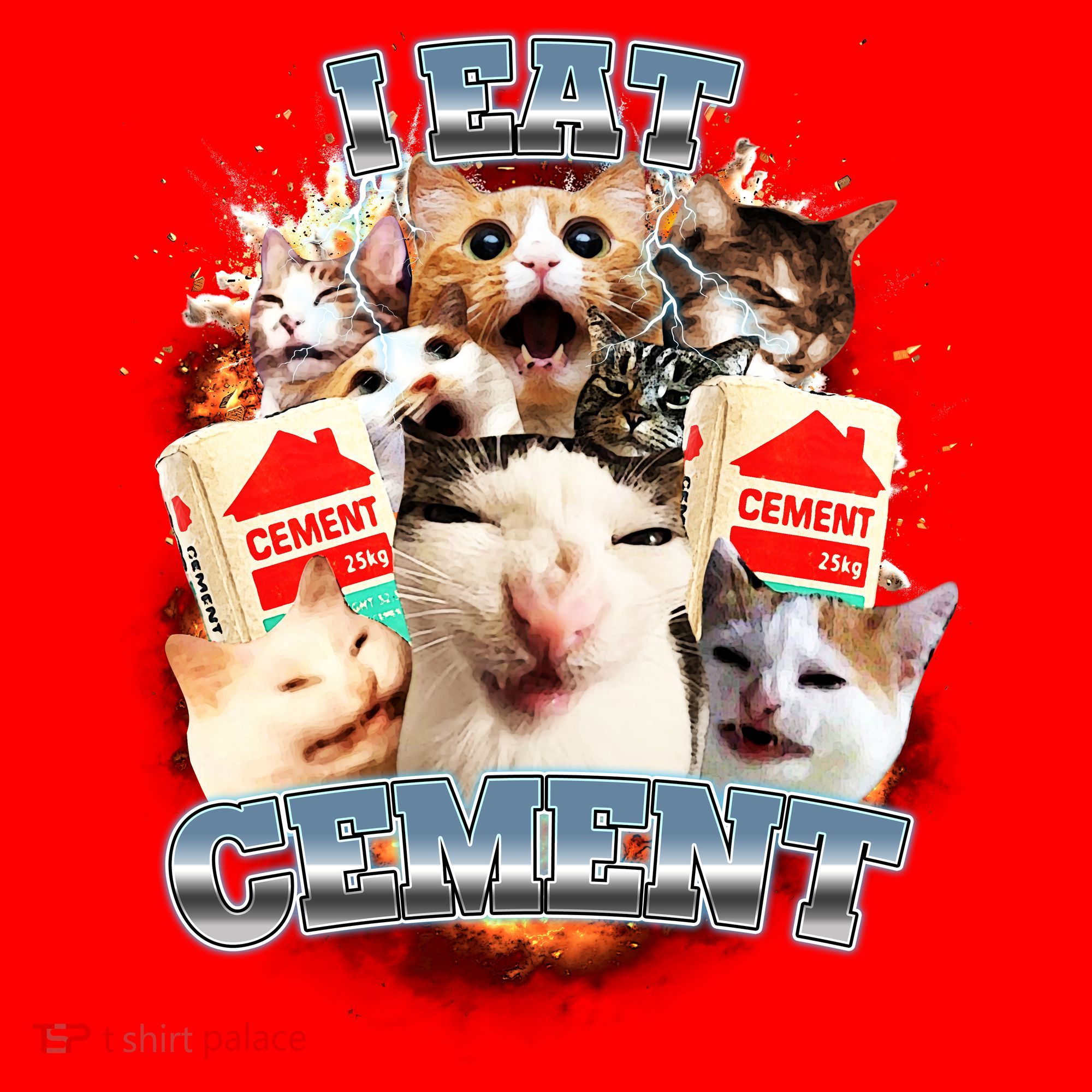 Funny I Eat Cement Cat Meme Santa Hat