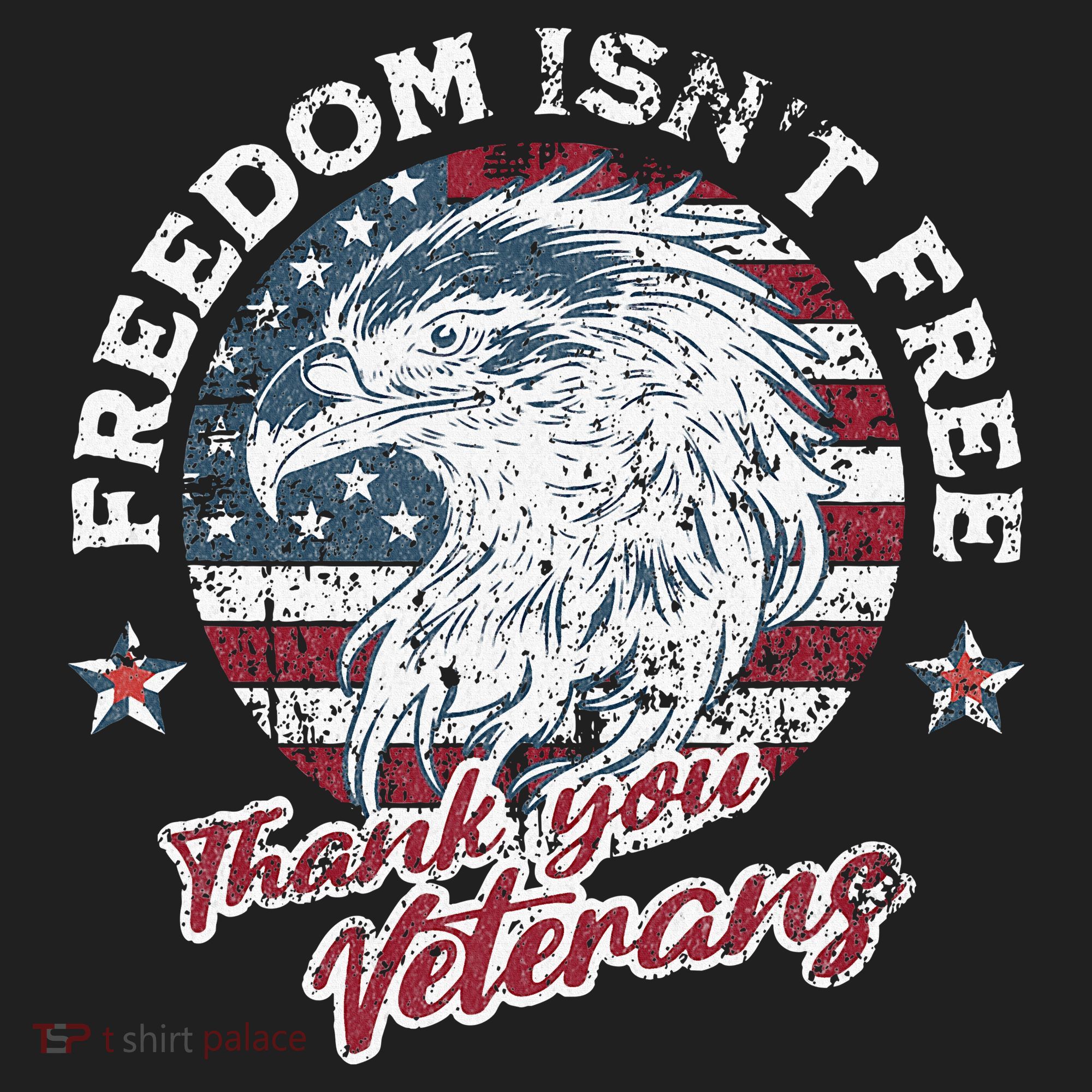 Freedom IsnT Free Thank You Veterans Memorial Day Patriotic Beanie