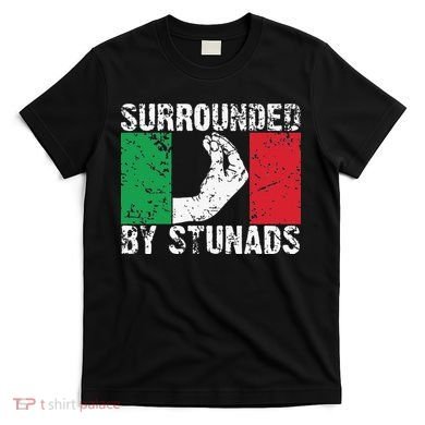 Funny Italian Gift Cool Surrounded By Stunads Gift T-Shirt